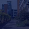Business English For Listening & Speaking